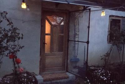 Casă cu Teren 11196 Mp în Central - 1