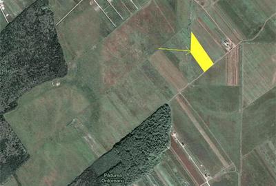 Teren de 1850 mp, în Clinceni - 3