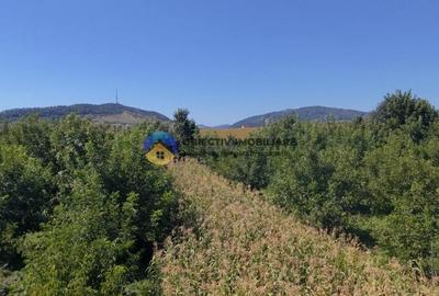 Teren Construcții intravilan de 1935 mp, în 1 Mai - 4