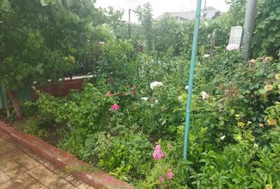 Vanzare vila P+1+M centru Otopeni Vanzare vila P+1+M centru Otopeni - 4