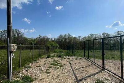 Teren în Poiana Lacului - 2