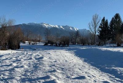 Teren intravilan intre 500 si 1000 mp cu vedere panoramica in zona Bran Tohanita Teren intravilan intre 500 si 1000 mp cu vedere panoramica in zona Bran Tohanita - 11