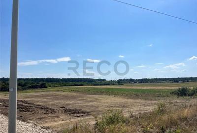 RECO Teren intravilan pentru casa- Les cu PUZ aprobat - 6