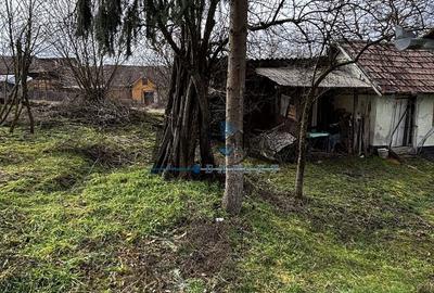 Casă cu 3 camere cu Teren 1390 Mp în Tilișca - 3