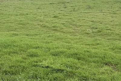 Spațiu comercial, în Hipodrom - 9