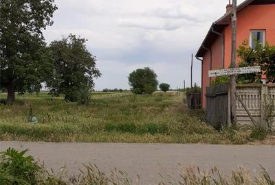 Spațiu comercial, în Mârșani - 3