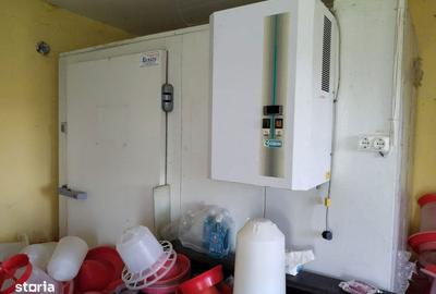 Casă cu Teren 7655 Mp în Central - 2