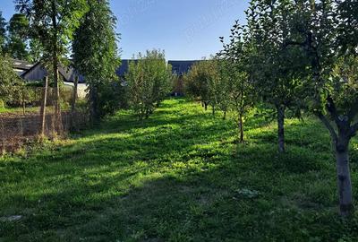 Casa de vanzare la ?ara cu gradina spa?ioasa - 3