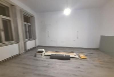Apartament cu 2 camere semidecomandat în Iosefin - 20
