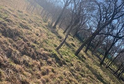 Teren Construcții intravilan de 2100 mp, în Feiurdeni - 3