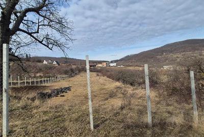 Teren de 3000 mp, în Nord - 3