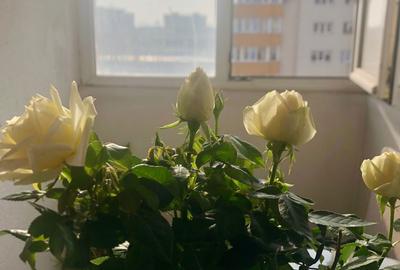 Garsonieră decomandată în Central - 6