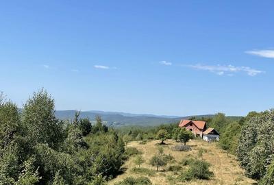 Teren Extravilan in mijlocul naturii. - 14