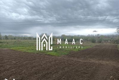 Teren de 2400 mp, în Mihăești - 1