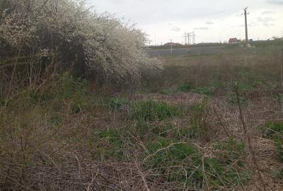 Teren de 784 mp, în Alparea - 3