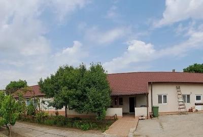Casa cu anexe 477 mp + teren 1471 mp - Cobadin Primaverii 99 - 7