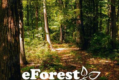 Terenuri de vanzare, zona verde, acces din DN1A, eForest - 5