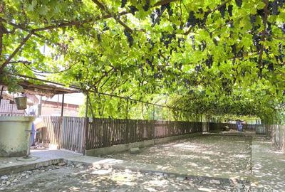 Casă cu 2 camere cu Teren 1900 Mp în Central - 3