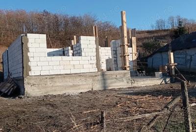 Casă cu 4 camere cu Teren 1218 Mp în Tomești - 3