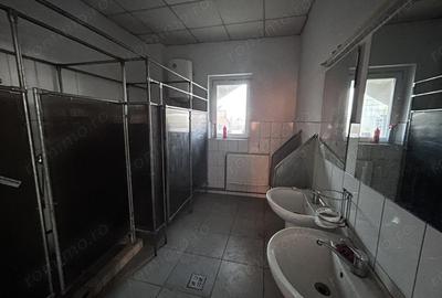 Spațiu comercial, de 960 mp, în Micălaca - 14