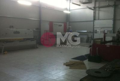 Hala industriala + teren Pausesti Valcea - 6