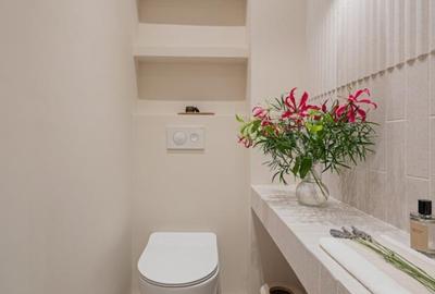 Apartament cu gradina Aviatorilor - 10