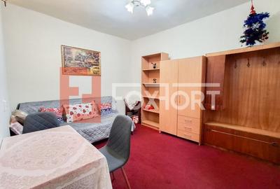 Apartament cu 2 camere nedecomandat în Elisabetin