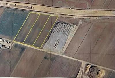 Teren la intrare in Biharia - 2