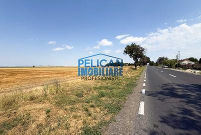 Teren Construcții intravilan de 1000 mp, în Mihail Kogălniceanu - 2