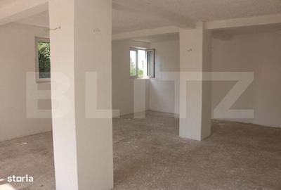 Spațiu comercial, de 140 mp, în Matraca - 1