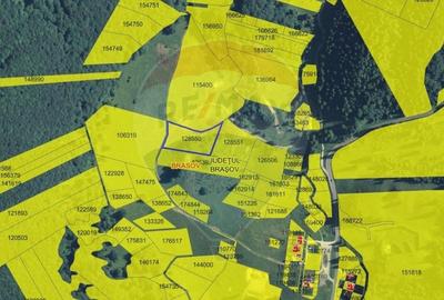 Teren intravilan de 6750 / 13500 mp in Poiana Brasov - 3
