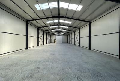 Spațiu industrial, de 350 mp, în Ovidiu - 4