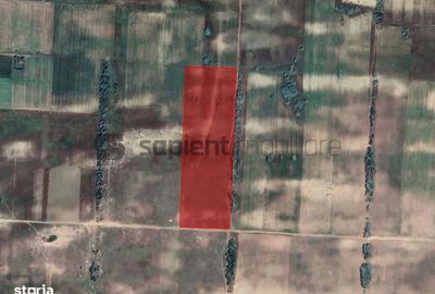 Spațiu comercial, în Desa - 2