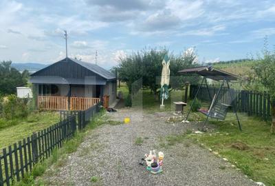 Teren extravilan 10 ari cu Cabana de 45 mp - 6