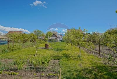 Casă individuală cu 5 camere cu Teren 1100 Mp în Central - 4