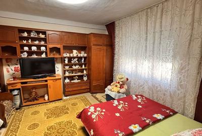 Casă cu 3 camere cu Teren 1413 Mp în Sânnicolau Român - 6