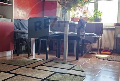 Apartament cu 3 camere în Turnișor - 8