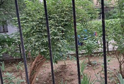Apartament cu 2 camere semidecomandat în Berceni - 6