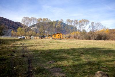 Teren intravilan 5723mp Zarnesti Tohanita- case de vacanta,investitie in turism - 6