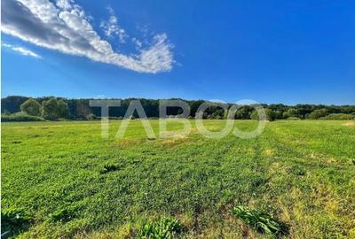 Teren intravilan 712 mp PUZ APROBAT aproape de DJ zona Versailles - 1