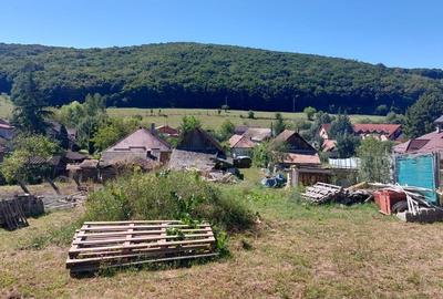 De vanzare teren in Corunca , zona Primariei - 3