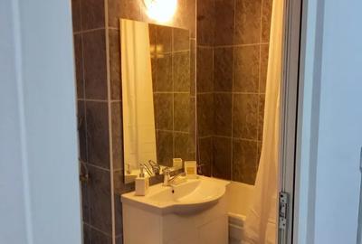 Garsonieră decomandată, mobilată în Dristor - 7