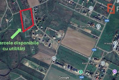 Teren Construcții intravilan de 930 mp, în Moșnița Nouă