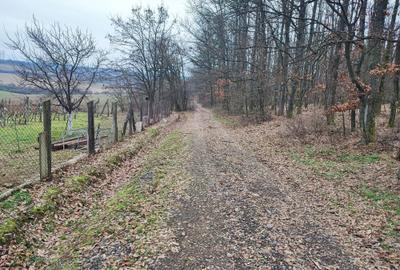 Spațiu comercial, în Viile Satu Mare - 3