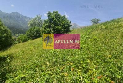 Teren de vânzare în Bușteni - Zona Zamora - 5