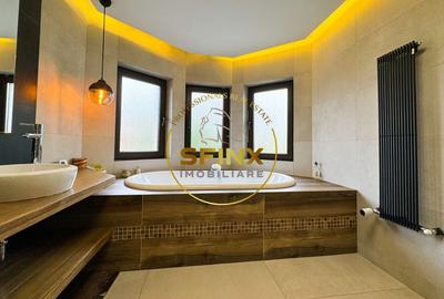 Casa curte proprie Soseaua Alexandriei - 26