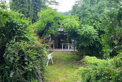 Casa cocheta de vanzare - 3