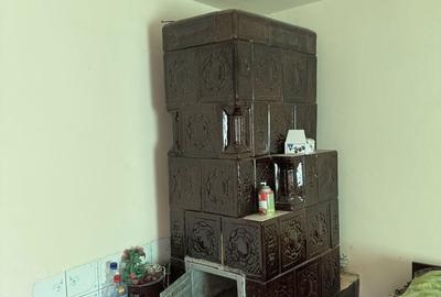 Casă cu 4 camere în Dobrotești - 1