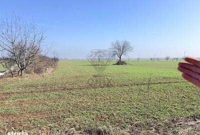 Teren de 3000 mp, în Central