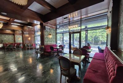 Spațiu comercial, de 235 mp, în Dristor - 1